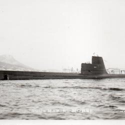 Carte postale SOUS MARIN MORSE -N&deg;7929