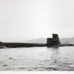 Carte postale SOUS-MARIN DAUPHIN -N&deg;7930