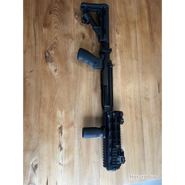 Crosse EBR sage �quip�e pour mini 14