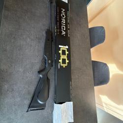 Carabine &agrave; air comprim&eacute;