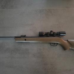 Carabine Gamo BIG CAT 4.5 19,9 joules