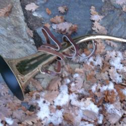 Trompe / corne Milliens de 55 cm -15%