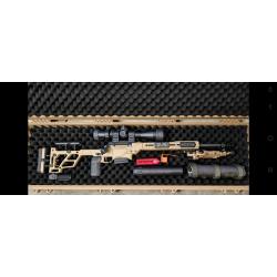 Daniel defense delta 5 pro TLD compl&egrave;te-kahles525i DLR-setup PRS pr&ecirc;t &agrave; tirer