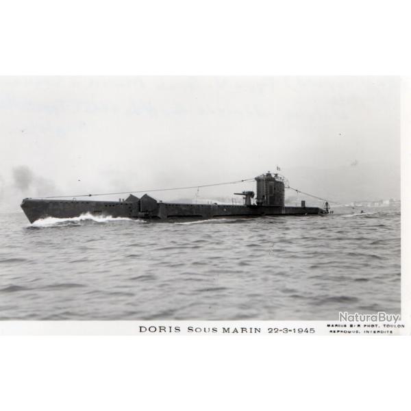 Photographie sous-marin Doris -N�7962