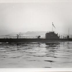Photographie sous-marin Perle N&deg;7975