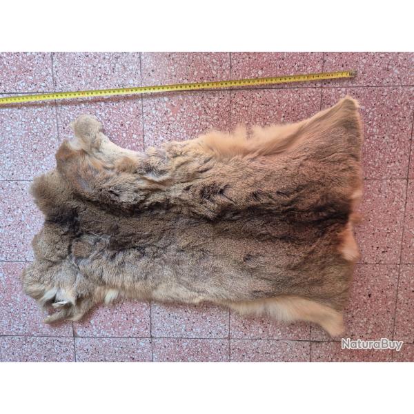 Peaux de chevreuil 1