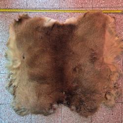 Peaux de chevreuil 3