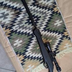 Carabine Nitro piston cal 4,5 + lunette Gamo