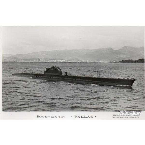 Photographie sous-marin Pallas -N�7986