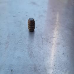 Ogives calibre 30 113gr