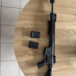 troy pompe 300BLK