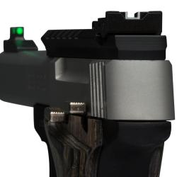 PISTOLET BUCKMARK PLUS S S UDX SE MS ADJ S 22LR BROWNING