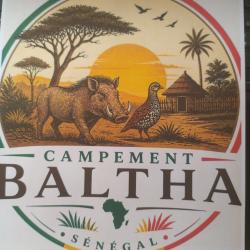 campement de chasse au S&eacute;n&eacute;gal BALTHA