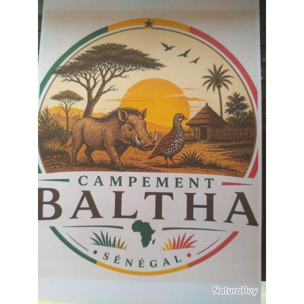 campement de chasse au S�n�gal BALTHA