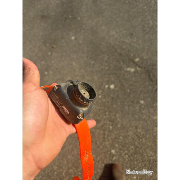 collier beeper dogtra StB-Hawk