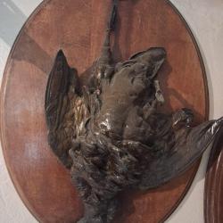 lot de 3 pi&egrave;ces de fonte animalier