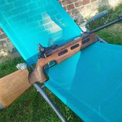 Carabine Diana 75 T01