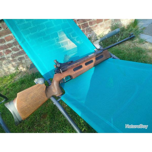 Carabine Diana 75 T01