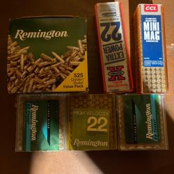 Lot de diff&eacute;rentes marque de 22lrEnviron 1000 munitions