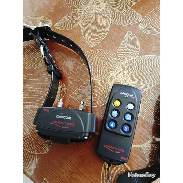 1 Collier de dressage num'axes 200 first