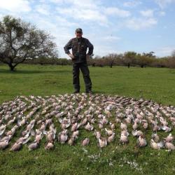 Chasse en Argentina 2026- 27