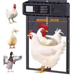 Porte Automatique de poulailler en aluminium, avec grande minuterie d'affichage &eacute;tanche