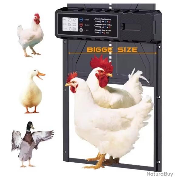 Porte Automatique de poulailler en aluminium, avec grande minuterie d'affichage �tanche