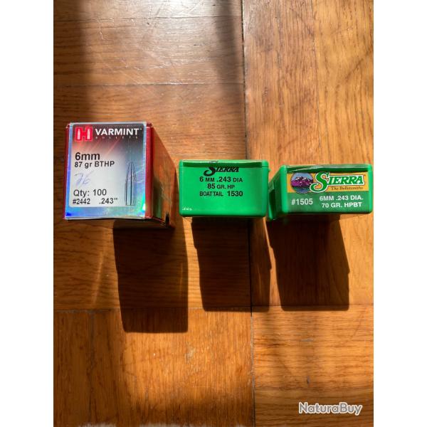 Lot 190 ogives 6mm / 243