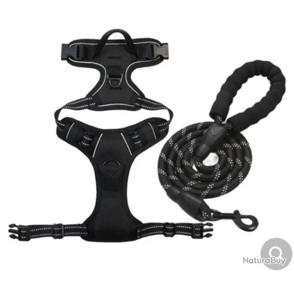 HARNAIS ANTI-TRACTION + LAISSE NOIR