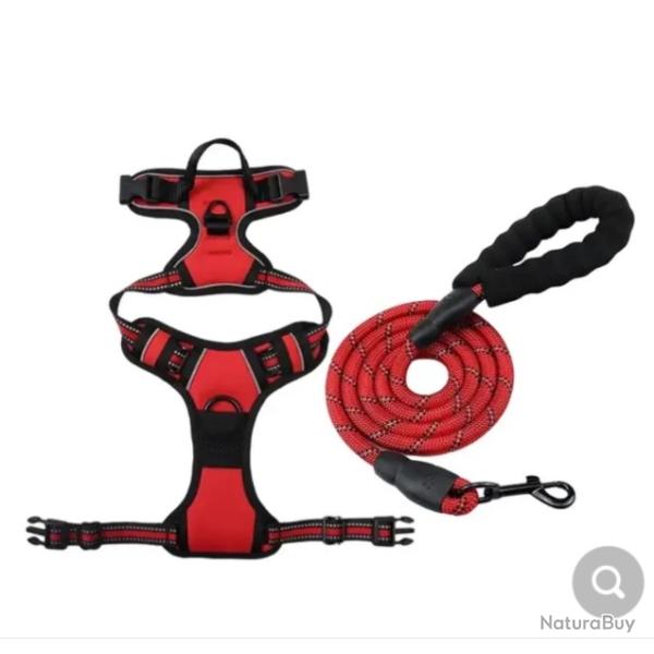 HARNAIS ANTI-TRACTION + LAISSE ROUGE