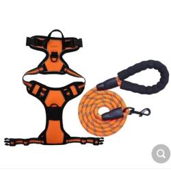 HARNAIS ANTI-TRACTION + LAISSE ORANGE