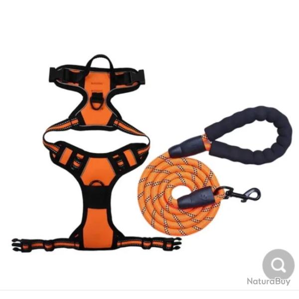 HARNAIS ANTI-TRACTION + LAISSE ORANGE