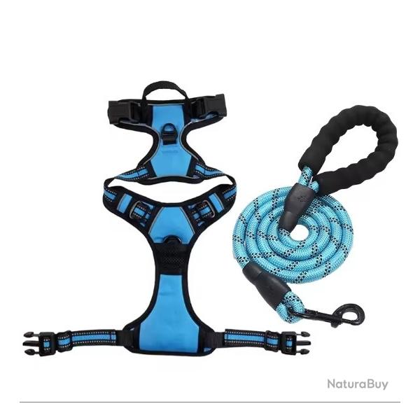 HARNAIS ANTI-TRACTION + LAISSE BLEU