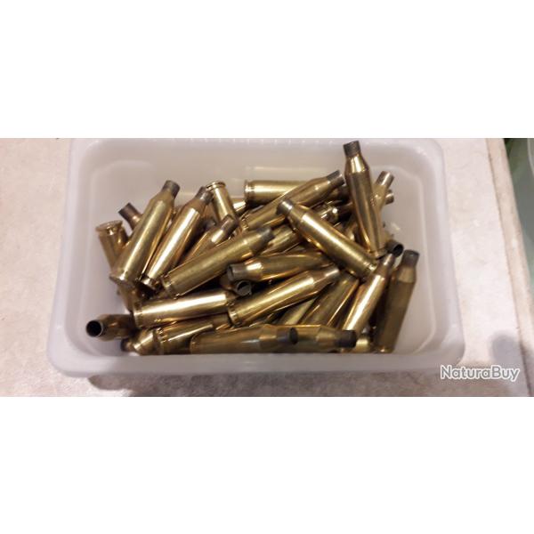 50 �tuis de calibre 243 winchester.