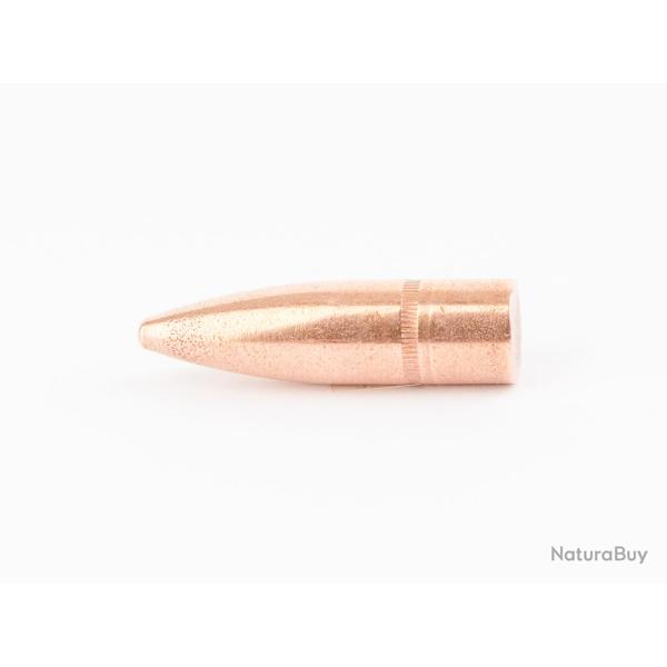 Ogives CAM PRO cal..311 180gr FCP SPITZER