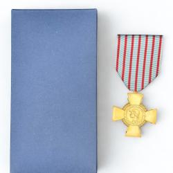 (20.013) Croix du combattant - Drago