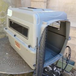Caisse pour chien