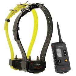 Pack Num'axes CANICOM 800 2 chiens