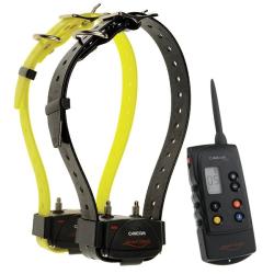 Pack Num'axes CANICOM 1500 2 chiens