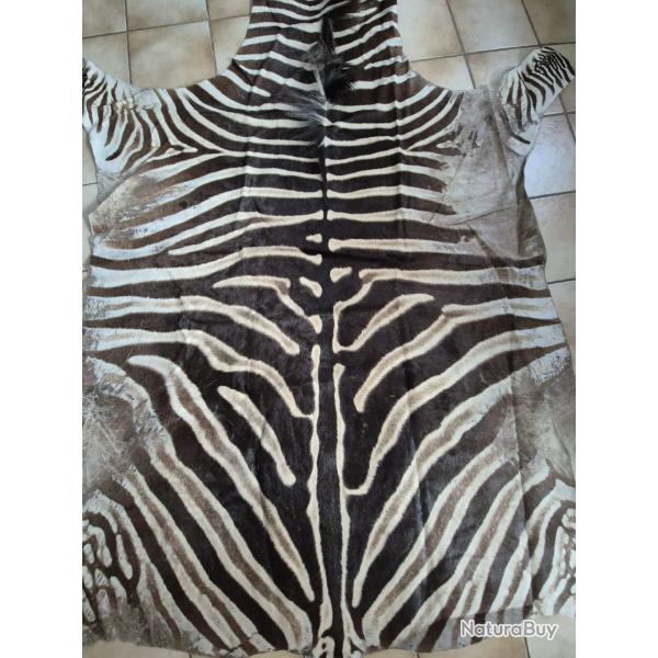 Peau de z�bre d'Afrique du Sud