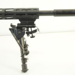 carabine ruger rpr 22lr  pack complet