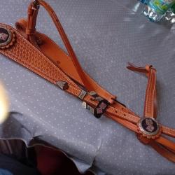 brise en cuir pour cheval