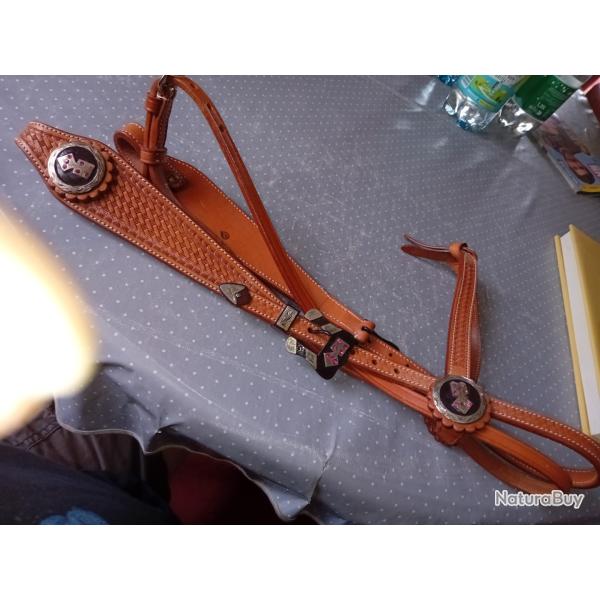 brise en cuir pour cheval
