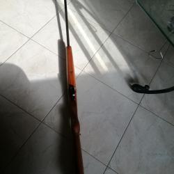 Carabine 9 mm percussion annulaire