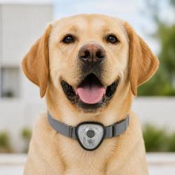 R&eacute;pulsif &eacute;lectronique anti tiques et puces pour chien et chats orange