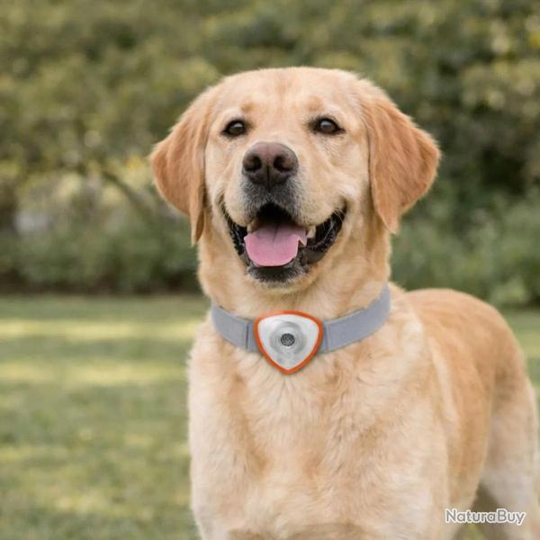 R�pulsif �lectronique anti tiques et puces pour chien et chats orange