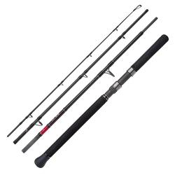 Canne spinning SHIMANO STC XR Spinning monster 24 H