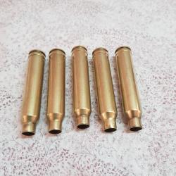 Etuis de 300 Win mag RP tir&eacute;s une fois