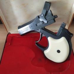 Derringer 22 magnum