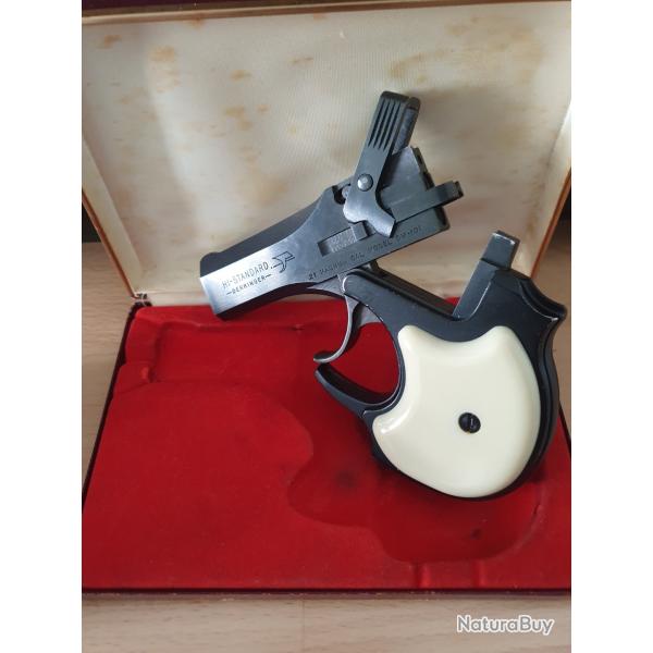 Derringer 22 magnum